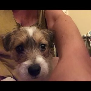 Meet your Posher, Margaret